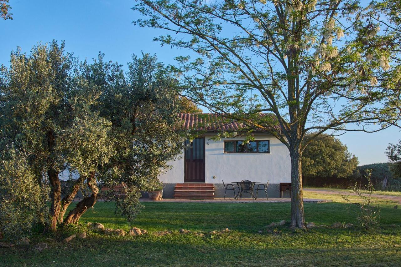 Agriturismo Tesorino Massa Marittima Extérieur photo