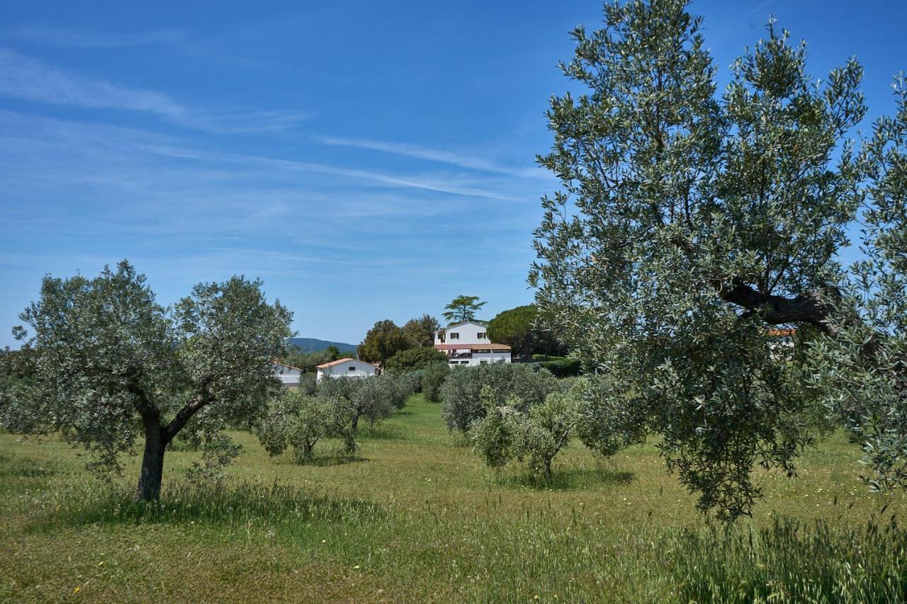 Agriturismo Tesorino Massa Marittima Extérieur photo
