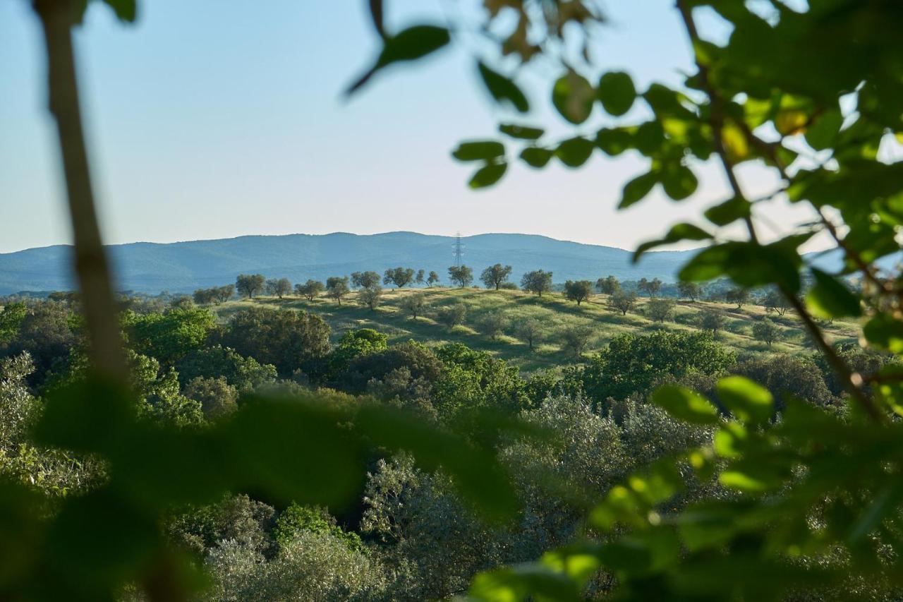 Agriturismo Tesorino Massa Marittima Extérieur photo
